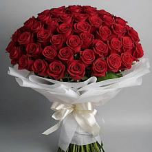 Букет 101 Красная роза Блэк Мэджик #REPLACE_PRED# Карпинске