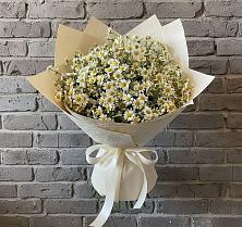 Букет цветов из:  Ромашки #REPLACE_PRED# Карпинске