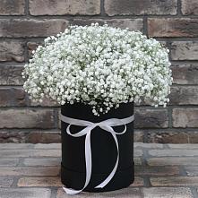 Цветочная композиция из Гипсофила в шляпной коробке #REPLACE_PRED# Карпинске